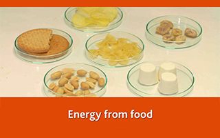 Energy from food