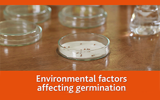 Environmental factors affecting germination
