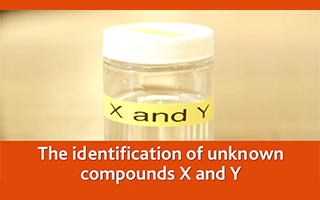 The identification of unknown compounds X and Y