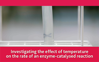 Investigating the effect of temperature on the rate of an enzyme-catalysed reaction