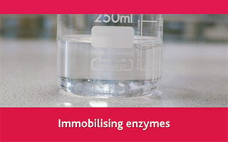 Immobilising enzymes