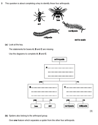 Cambridge Lower Secondary Science