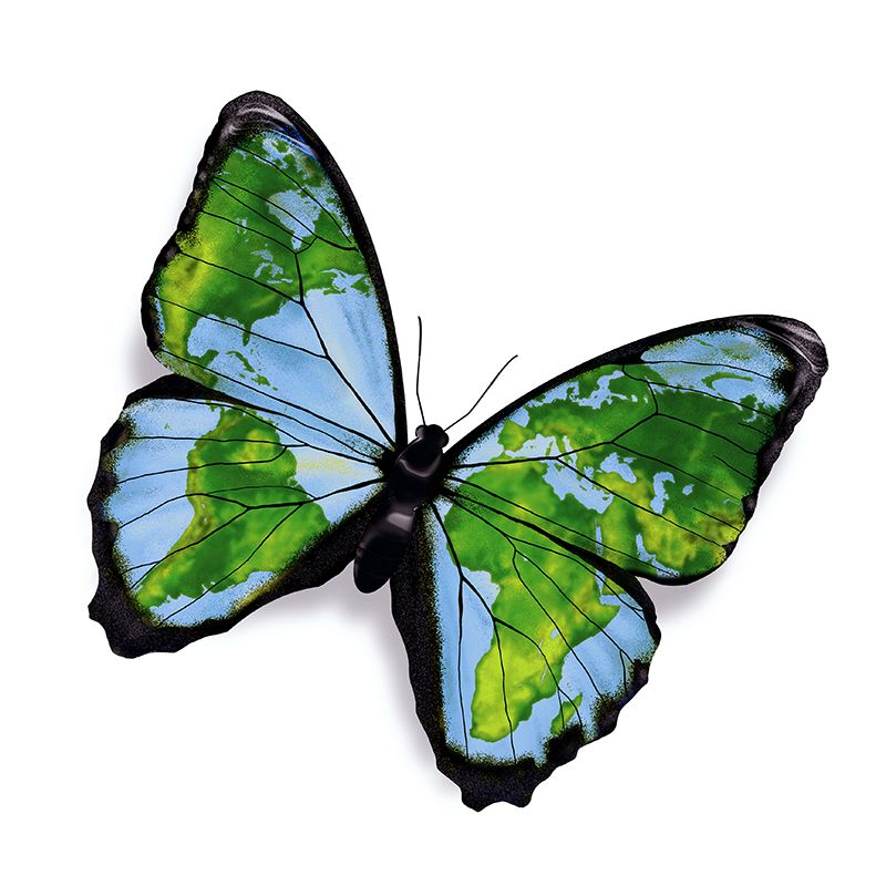 A butterfly with a globe print on the wings