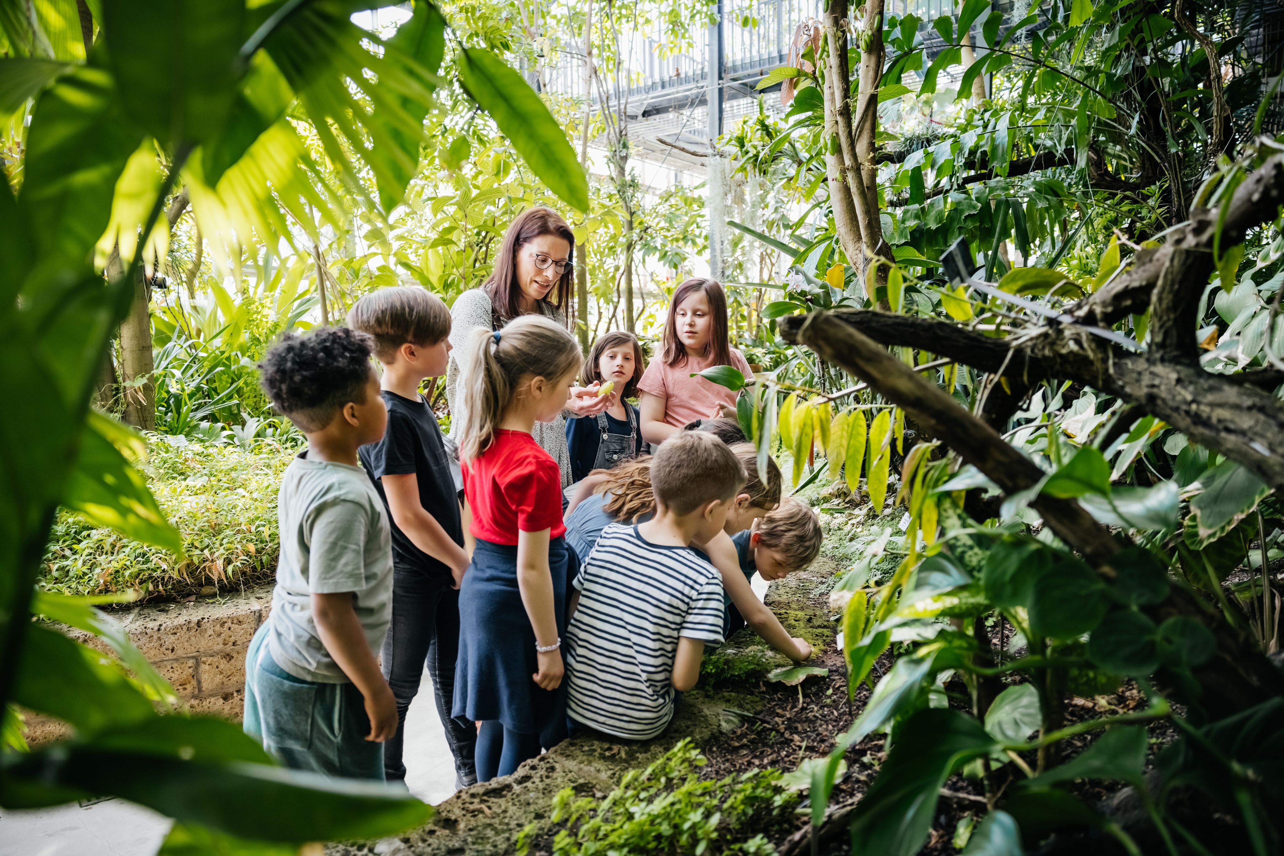 A group of primary aged children in an outdoor environment, learning about plants and nature